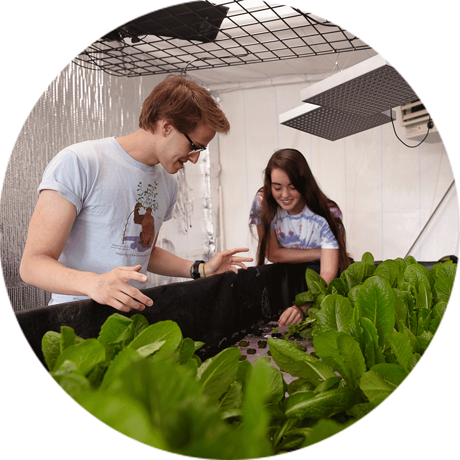 students looking at plants