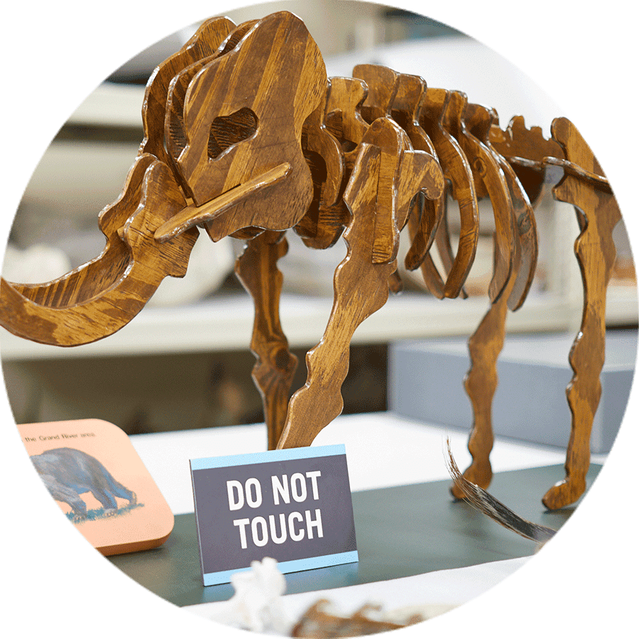 a small model of a dinosaur